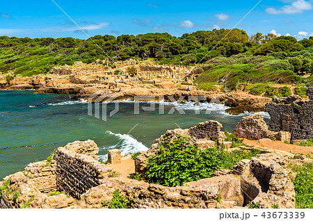 Ruins of Tipasa, a Roman colonia in Algeria, North Africa 43673339