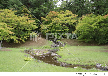 毛越寺 遣水 毛越寺 遣水 43673894