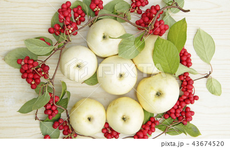Red schisandra and white apples.  43674520