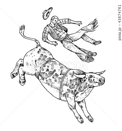 Enraged bull attacks the matador or bullfighter. Corrida de toros. Spanish traditional performance 43674761