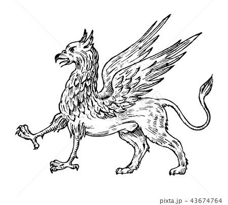 Mythological animals. Mythical antique Griffin. Ancient Birds, fantastic creatures in the old Mythological animals. Mythical antique Griffin. Ancient Birds, fantastic creatures in the old 43674764