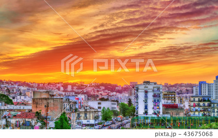Dramatic sunset above Algiers, the capital of Algeria 43675068