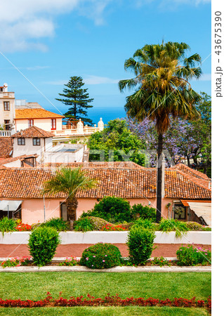 tropical botanical gardens in La Orotava, Tenerife 43675390