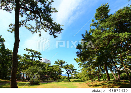 沼津　港口公園 43675439