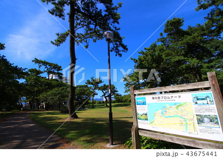 沼津 港口公園 沼津 港口公園 43675441