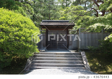 修学院離宮 43676443