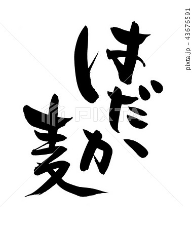 筆文字　はだか麦　食べ物　イラスト 43676591