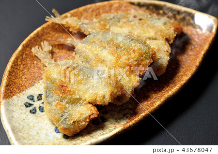 アジフライ 43678047