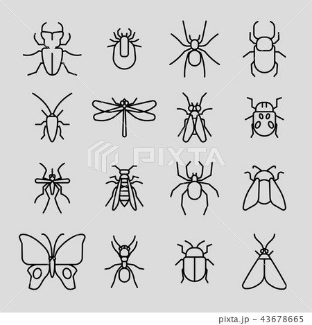 Insect vector thin line icons set Insect vector thin line icons set 43678665