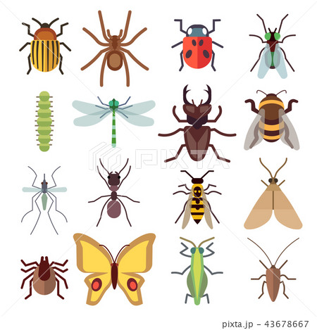 Insect vector flat icons isolated on white background 43678667