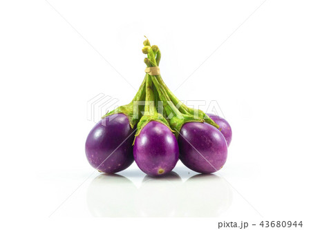 Eggplant fresh isolared on white background 43680944