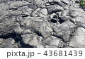 ハワイ　溶岩 43681439