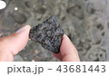 ハワイ　溶岩 43681443