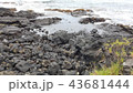ハワイ　溶岩 43681444