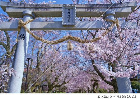 徳佐八幡宮 鳥居 徳佐八幡宮 鳥居 43681623