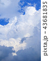 夏の入道雲 43681835