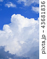 夏の入道雲 43681836