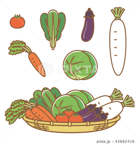 野菜 43682416