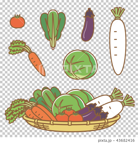 野菜 43682416