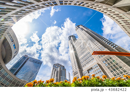 【東京都庁】 絶景 43682422