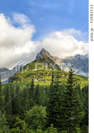 Polish Tatra mountains summer landscape with blue sky and white clouds. 43683533