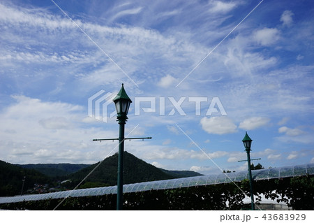 秋の産直 秋の産直 43683929