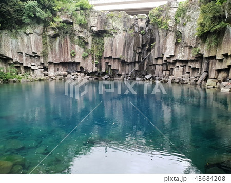 雨滴 済州島 屋外 43684208