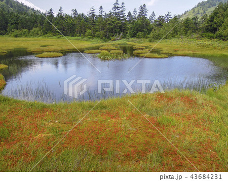 四十八池（志賀高原） 43684231