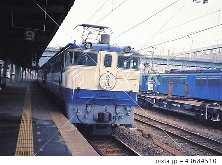EF651110 みずほ EF651110 みずほ 43684510