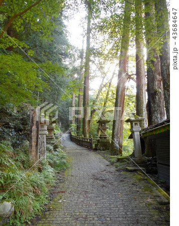 三峯神社 表参道 三峯神社 表参道 43684647