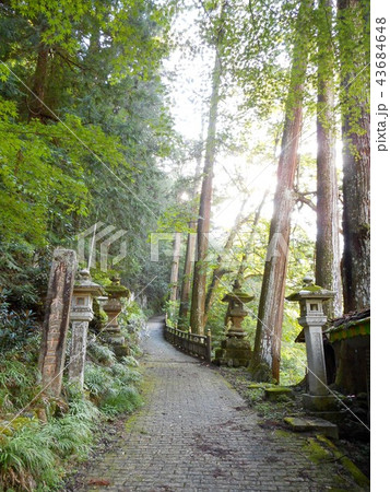 三峯神社 表参道 三峯神社 表参道 43684648