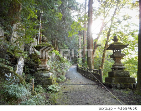三峯神社 表参道 三峯神社 表参道 43684650