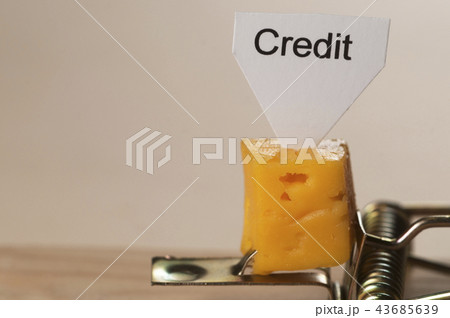 "Credit" sign on a cheese in mouse trap "Credit" sign on a cheese in mouse trap 43685639