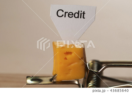 "Credit" sign on a cheese in mouse trap "Credit" sign on a cheese in mouse trap 43685640