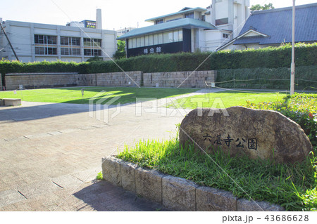 六甚寺公園/兵庫県西宮市六湛寺町 六甚寺公園/兵庫県西宮市六湛寺町 43686628
