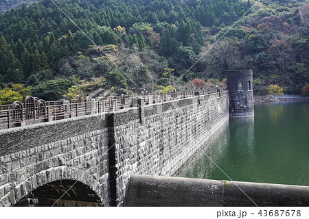 福岡 福岡 43687678