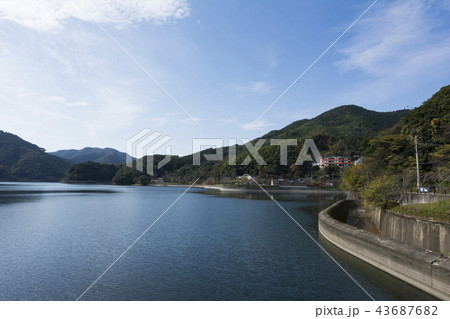 福岡 福岡 43687682