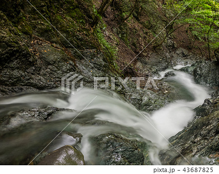天滝渓谷 43687825