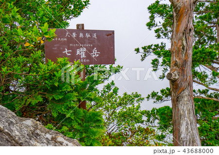 大峯奥駈道縦走路、七曜岳山頂（奈良県吉野郡天川村）※作品コメント欄に撮影位置あり 43688000