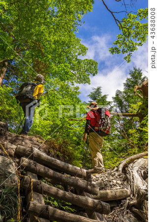 行者還岳登山道で、青空を見上げる登山者（奈良県吉野郡天川村）※作品コメント欄に撮影位置あり 43688008