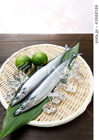食材 鮮魚 生さんま 2018 食材 鮮魚 生さんま 2018 43688586
