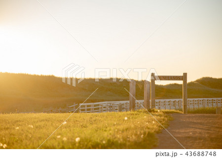 プリンスエドワード島の美しい風景 43688748