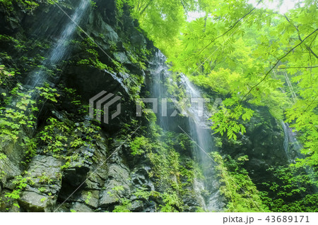 素簾の滝 素簾の滝 43689171