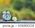 Red heart shape in shopping cart and white clock 43689328