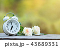 Red heart shape in shopping cart and white clock 43689331