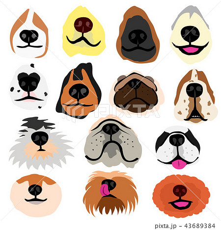 犬の鼻いろいろセットのイラスト素材 43689384 Pixta