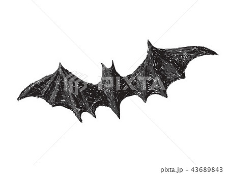 Hand Drawn Bat With Open Wings Isolated On Whiteのイラスト素材