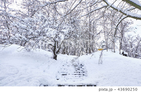 Stairs in winter park covered with snow. Stairs in winter park covered with snow. 43690250