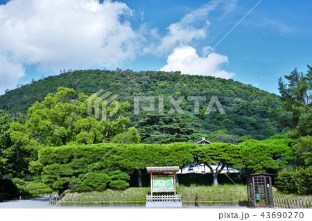 緑の公園（栗林公園） 43690270