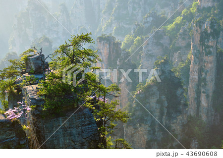 Zhangjiajie mountains, China Zhangjiajie mountains, China 43690608